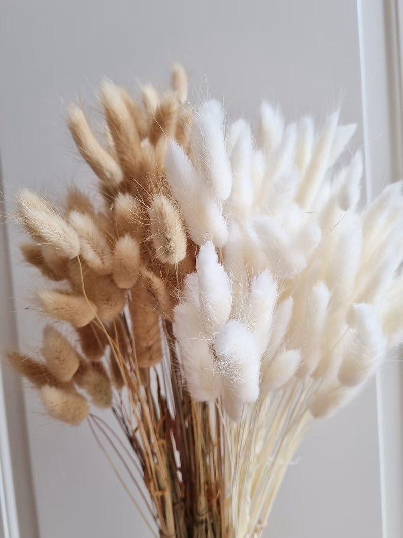 Fluffy Bunny Tails_ Aesthetic Dried Stems for Decoration