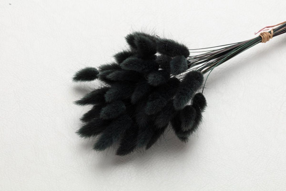 Fluffy Bunny Tails_ Aesthetic Dried Stems for Decoration